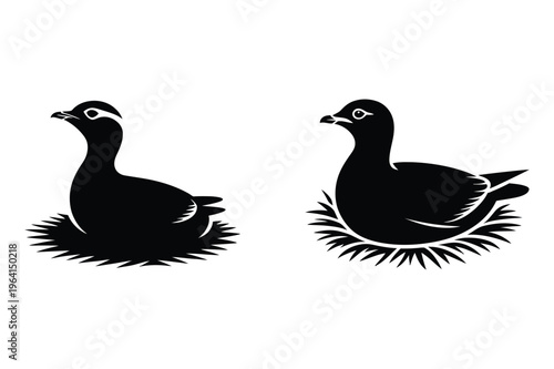 Two silhouette ducks sitting on nests with animal life