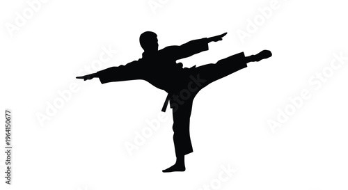 A silhouetted figure demonstrates a dynamic martial arts kick showcasing strength and focused movement against a white background high quality professional