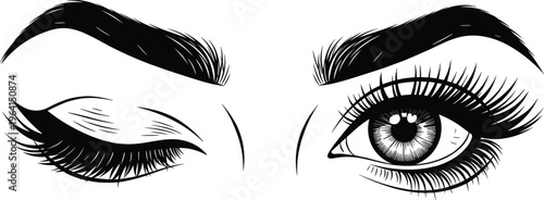 Black and white hand drawn vector illustration of beautiful female eyes with long eyelashes and perfectly shaped thick eyebrows winking.