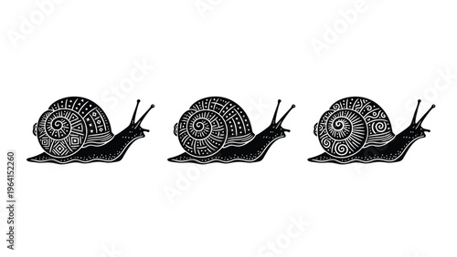 Three Black and White Vintage Engraved Snails in a Row Illustration