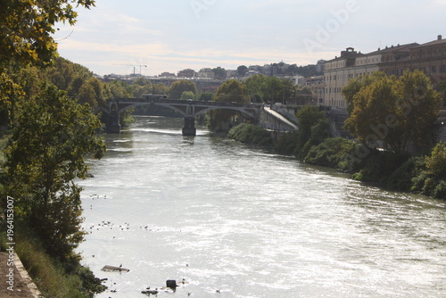 bridge over the river