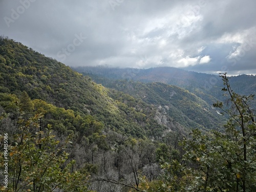 Misty forested mountain valley under overcast sky