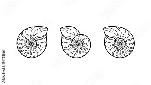 Nautilus Shell Line Art Vector Set. Minimalist Black and White Spiral Mollusk Icons for Design