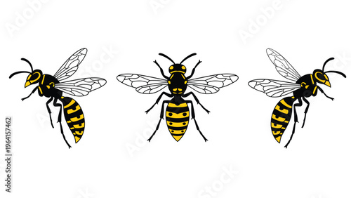 Stylized Wasps Vector Set. Three yellow and black striped insect illustrations in various flight and frontal poses.
