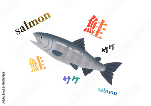 鮭 日本語・英語・漢字の名称入り