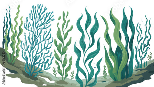 Intricate underwater coral reef with vibrant blue and purple sea fans Vector