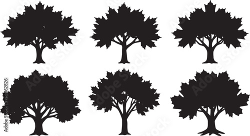 Classic Maple Tree Elements for Autumn Landscapes