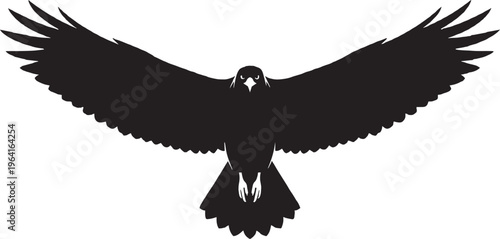 Protect These Majestic Raptors and Their Habitats"