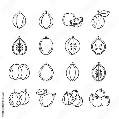 Tropical Fruit Icons: Guava Star Fruit Jaboticaba and Soursop Line Art Collection