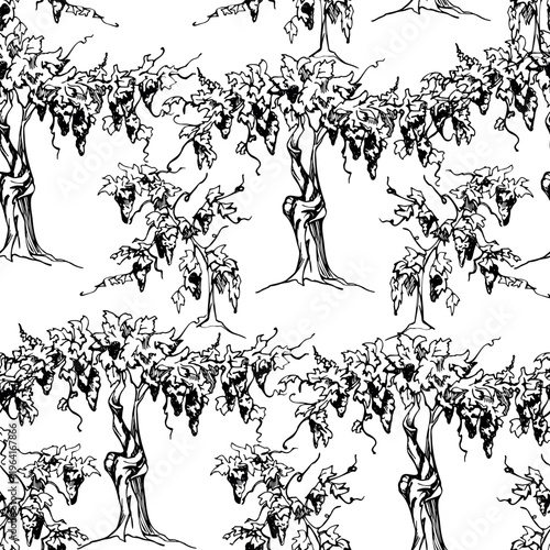 Repeating vineyard landscape rows of grapevine leafy vines with grape berry clusters on trunks with young creepers. Seamless ink pattern, hand drawn vector illustration. Textile design, wine packaging