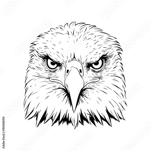 Logotipo con dibujo con líneas de la cabeza de un águila de frente 