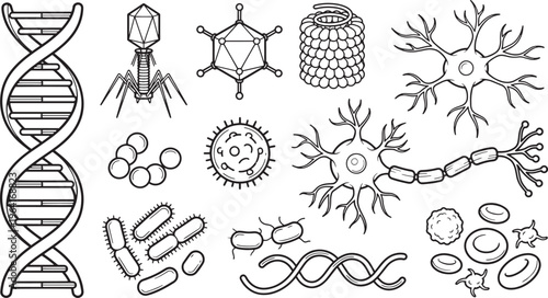 An illustrated educational collection of various biological structures, designed for educational or scientific purposes, showcasing a detailed illustration, ideal for learning about biology.