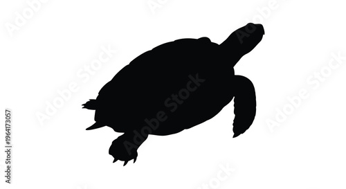 A dark outline of a turtle against a plain white background silhouette
