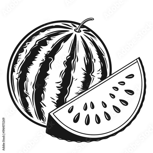 vector illustration of a watermelon