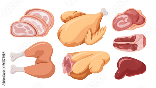 Assorted raw cuts of poultry meat displayed in a row Vector
