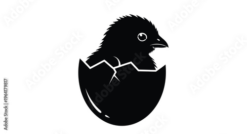 Chick hatching from an egg and a newly hatched chick silhouette