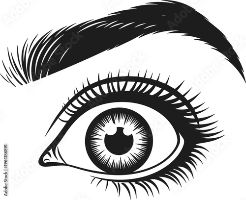 Detailed Human Eye Silhouette Illustration with Eyebrow and Eyelashes Realistic Vision Symbol for Beauty Cosmetic Logo Mascot Emblem Tattoo and Fashion Vector Design Use