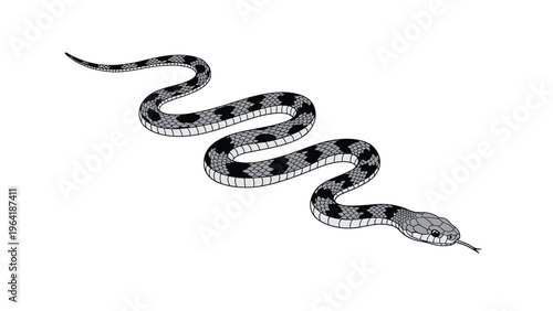 Detailed illustration of a black and gray patterned snake slithering across a clean white background with its tongue flicking out.