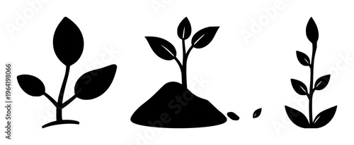 Solid black icon, white background: micro-investment seed icon set with simple line art design featuring outline, illustration, graphic elements with clean design and vector art