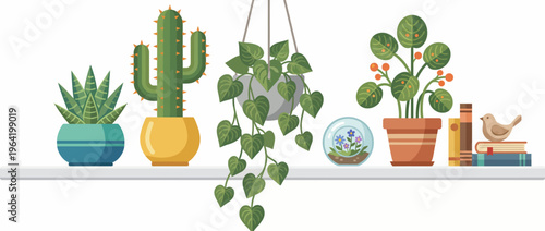 A vibrant collection of potted indoor plants including succulents and ferns placed on a minimalist white shelf, showcasing natural beauty and interior decor.