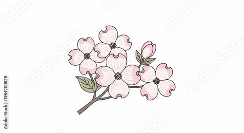 Delicate pink dogwood blossoms bloom on a thin branch
