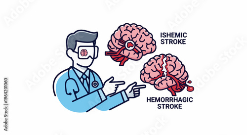 Doctor illustrates ischemic and hemorrhagic stroke with brain diagrams