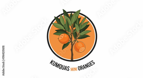 A stylized illustration of a kumquat tree with two fruits, enclosed in a circle