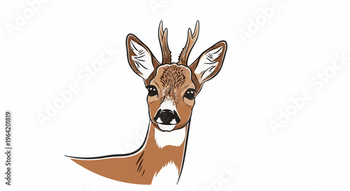 A detailed, cartoonish illustration of a young deer's head with small antlers