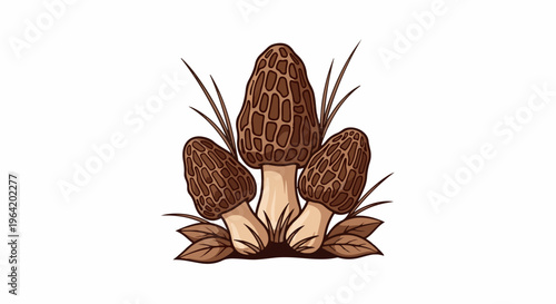 Three brown morel mushrooms with textured caps and stalks