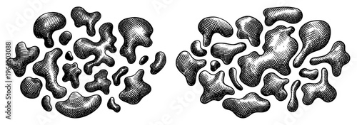 Glossy liquid blobs with organic shapes and detailed hatching in engraving style