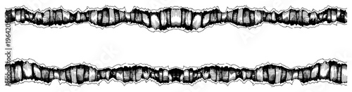 Horizontal bands of gnarled wood bark or segmented roots in detailed engraving style