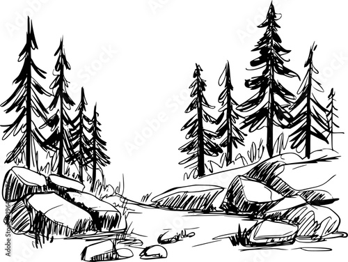Hand Drawn of Pine Trees and Rocks in a Forest Landscape White Background nature