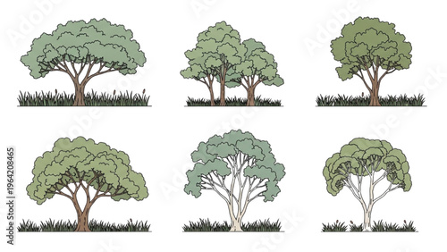 Vector illustration of trees in CAD design style with green foliage and brown trunks on grassy terrain