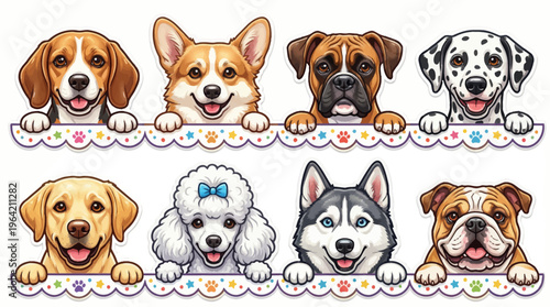 Cute Cartoon Dog Breed Faces Sticker Set featuring Beagle, Corgi, Boxer, Dalmatian, Retriever, Poodle, Husky, and Bulldog Peeking Over a Colorful Scalloped Border.