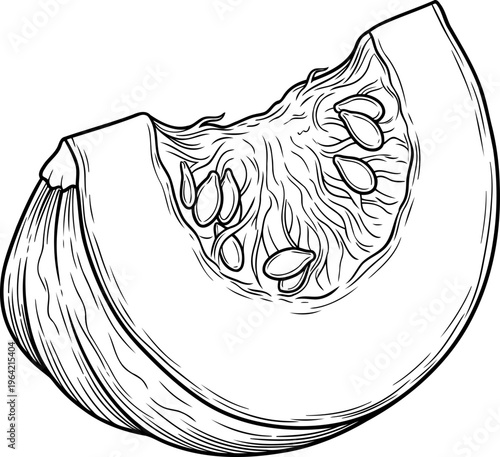 Hand-drawn pumpkin wedge revealing internal seeds and fibrous pulp