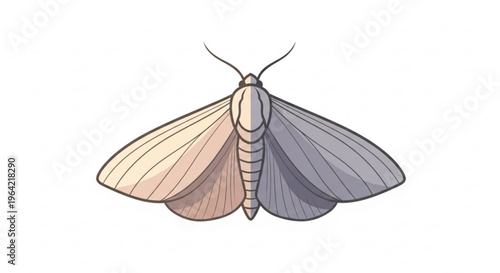 Colorful illustration of a moth with pink and gray wings on white background