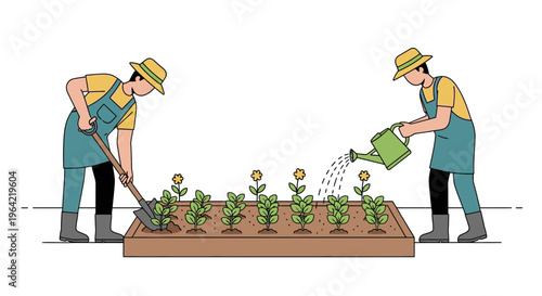 Two people gardening planting and watering young plants.