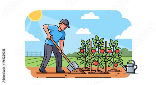 Man Digging Soil Near Tomato Plants Illustration.