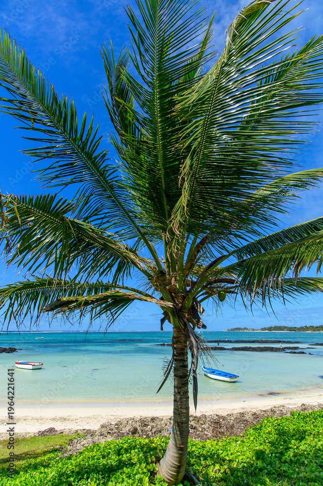 Obraz premium モーリシャスのとても美しいビーチ風景A view of a very beautiful white sand beach in Mauritia