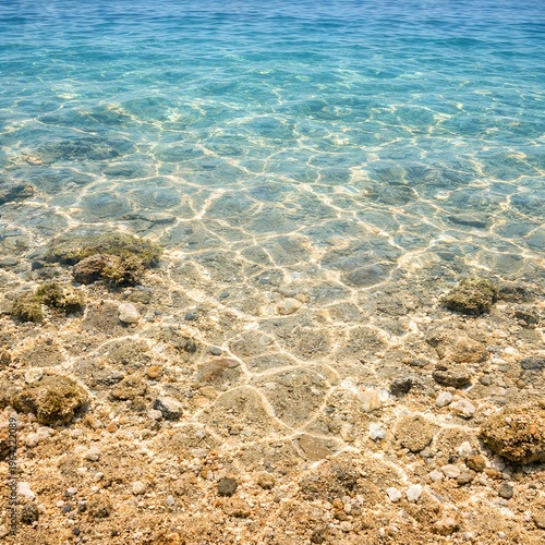 Turquoise water with sunlight reflections on sandy seabed, coastal shallow sea with rocks and algae.