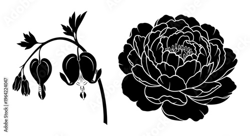 Vintage botanical silhouettes of peony and bleeding heart flowers, black floral vector elements, elegant garden blossom illustrations for wedding stationery