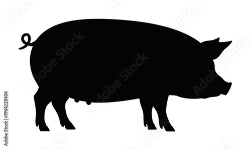 Black silhouette of a curly-tailed pig standing on all fours isolated on white background, Vector, illustration