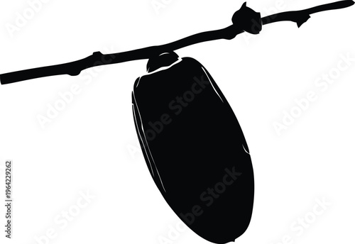 A black silhouette of a bat hanging from a branch
