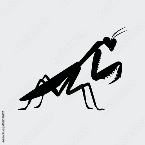 A detailed black silhouette of a praying mantis in a dynamic pose isolated on white background, Vector, illustration