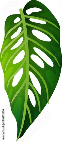 Fresh Green Monstera Leaves Isolated PNG Summer Vibes 