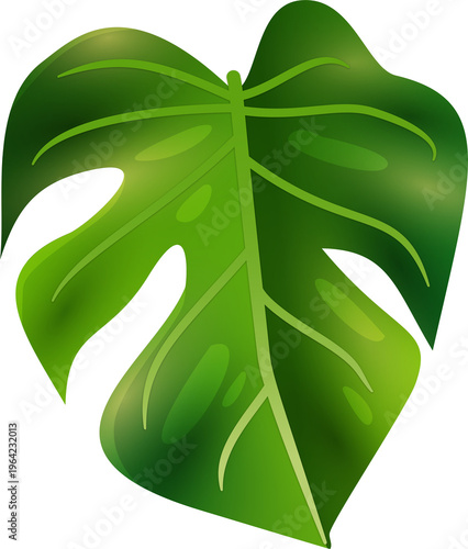 Fresh Green Monstera Leaves Isolated PNG Summer Vibes 