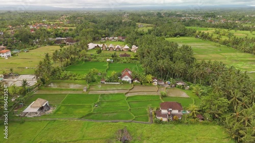 4K drone footage of Ubud, Bali: lush green rice terraces, tropical jungle and traditional landscapes under bright daylight. Perfect for travel, nature, culture and tropical destination projects.