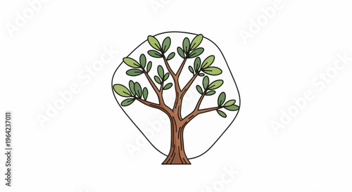 Simple illustration of a deciduous tree with green leaves and brown trunk