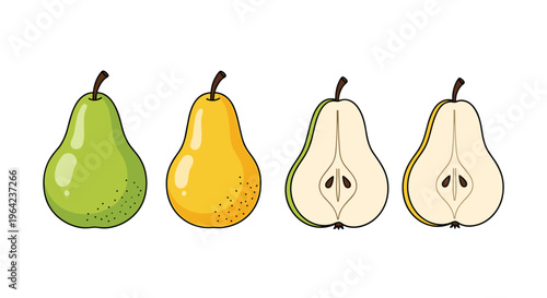 Set of four pear illustrations including a green pear a yellow pear and two cross-sections showing the inner flesh.