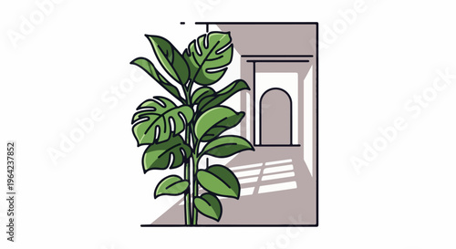 Lush green plant with broad leaves against a minimalist window with shadows